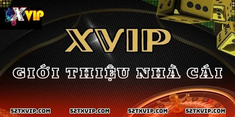 Tổng quan nền tảng cá cược